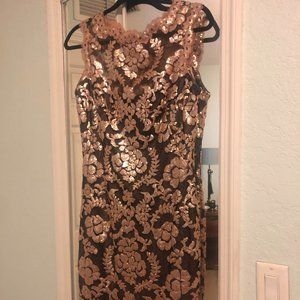 Tadashi Shoji sheath 8